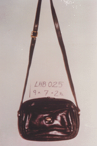 Ladies Handbag (LHB-025)